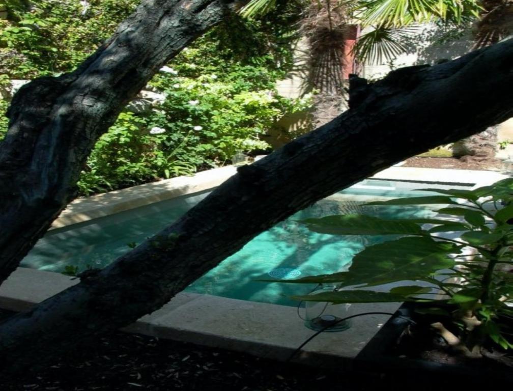 Monte Arena Bed & Breakfast Montaren-et-Saint-Mediers Luaran gambar