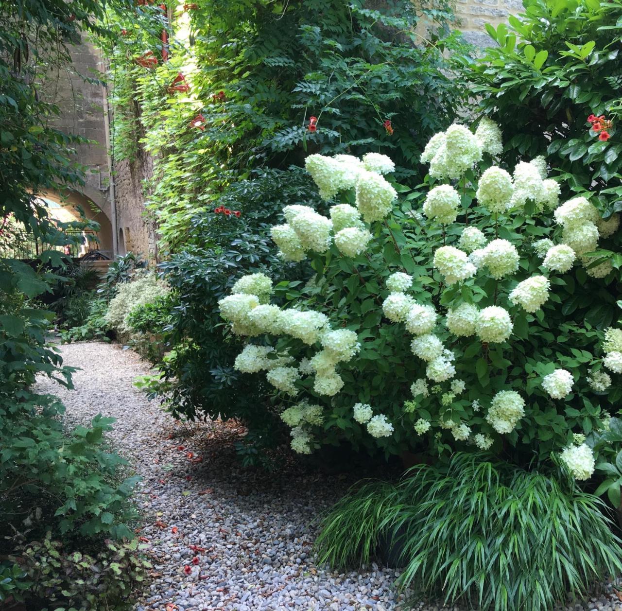 Monte Arena Bed & Breakfast Montaren-et-Saint-Mediers Luaran gambar