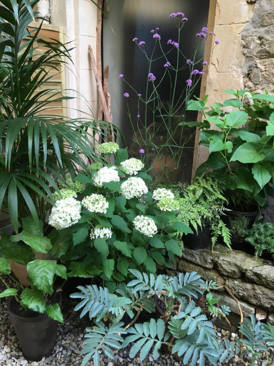 Monte Arena Bed & Breakfast Montaren-et-Saint-Mediers Luaran gambar